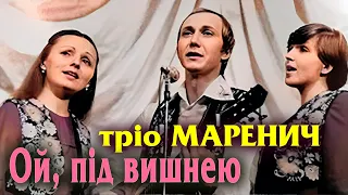 Тріо Маренич  -  Ой, під вишнею