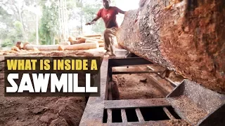 HOW DOES A SAWMILL WORK? |  Working of sawmills explained....