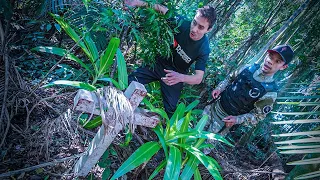 O SPIRIT BOX NOS LEVOU ATÉ ONDE ELE ESTÁ ENTERRADO