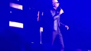 Pitbull: If You Don't Like The USA Go Back To Your Own Country!