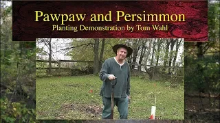 Pawpaw and Persimmon Planting Demonstration by Tom Wahl • October 19, 2019 • Fairfield, Iowa