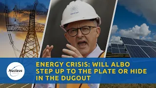 Energy Crisis: Will Albo Step Up to the Plate or Hide in the Dugout | Nucleus Investment Insights