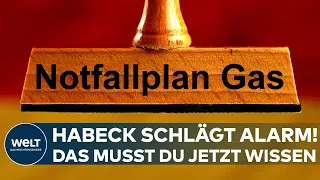 GAS-ALARMSTUFE: Robert Habeck in Sorge! Das musst Du über den Notfallplan jetzt wissen