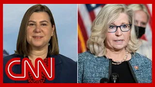 'We agree on one really big thing': Democratic lawmaker on Liz Cheney's support