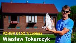 Wiesław Tokarczyk - PZHGP 0162 Trzebinia / Prezentacja hodowli & sezon 2023 🇵🇱🏆💪