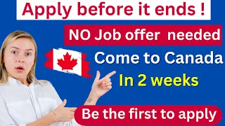 URGENT! Easiest Pathway to Canada 2024 - Get Free work Permit- New Brunswick Critical Worker Program