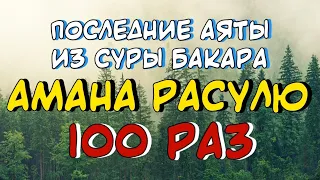 Бакара - Амана Расулю 100 РАЗ! Транскрипция и арабский текст