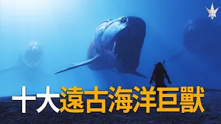 十大遠古海洋巨獸，現代大白鯊在牠們面前只是食物，稱霸各時期的水下霸主。