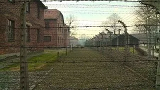 Prozess gegen den "Buchhalter von Auschwitz"