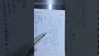 Diuretics 1 || pharma practical ||  week 6