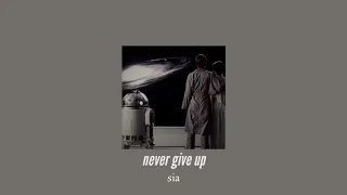 ( slowed down ) never give up