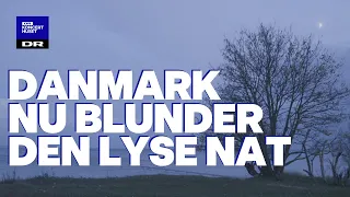 Danmark nu blunder den lyse nat // DR Pigekoret (LIVE)