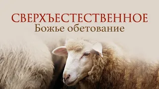 10. Сверхъестественное Божье обетование – «Псалом 22. Господь – Пастырь мой». Рик Реннер