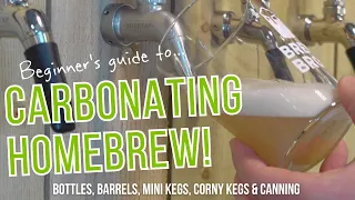 Carbonating Homebrew for Beginners | Options, Prices, Pros & Cons
