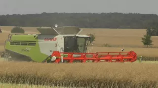 2.Stück Claas Lexion 770 Terra Trac in Nord Thüringen am Frühen Mittag