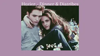 Hozier - Dinner & Diatribes (Empty Arena & Slowed)