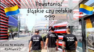 Co Katowice myślą o tzw. Powstaniach Śląskich?