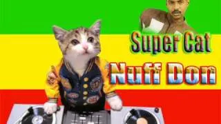 Super cat- nuff don