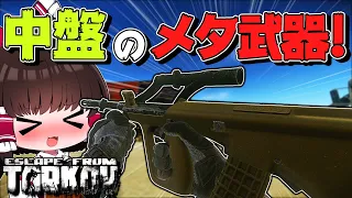 #222 中盤のメタ武器AUGが強すぎる件について。【EFT】【タルコフ】【ゆっくり実況】