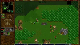 Warcraft 2 5.4.2024