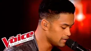 David Guetta ft Usher - Without You | Thomas Mignot | The Voice France 2012 | Prime 2