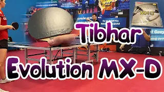 Tibhar Evolution MX-D vs Tibhar Evolution MX-P50! Обзор накладки новинки для настольного тенниса