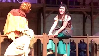 Top of the World- Hunchback of Notre Dame musical
