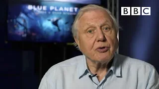 Sir David Attenborough's plastic message - BBC