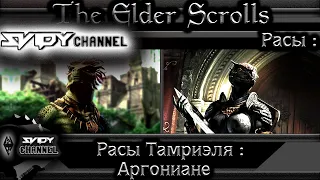 The Elder Scrolls|Расы Тамриэля: Аргониане(Лор)