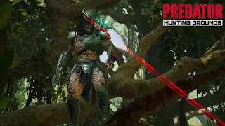 Predator Hunting Grounds PS4 Gameplay #3 - silent hunting