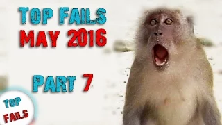 Лучшие приколы мая 2016 Часть 5 || Top Fails ||