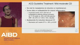 Updates on ACG guidelines for the treatment of severe Crohn's disease