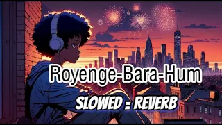 Royenge bara hum 🎶| Slowed + Reverb | Saba Qamar | Sahir Ali Bagga | Pagal Khana New Ost | GE FF GA