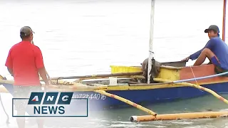 Filipino fishermen in West PH Sea seek protection vs. Chinese ships | ANC