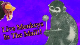 What was with those old Squirrel Monkey Ad's from the 60's and 70's?