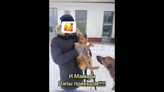 Вывоз состоялся! Спасибо всем кто не прошел мимо !!!!