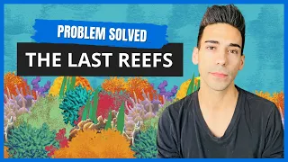 Can we save coral reefs? | Problem Solved