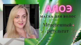 Маска для волос с АЛОЭ  Маска против выпадения волос // АЛОЭ ДЛЯ ВОЛОС  Алоэ вера