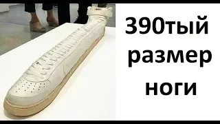 Лютые приколы. 390тый размер ноги