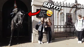 Guard's Horse Scares Tourist!