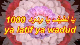 I LOVE ALLAH ll يا لطيف يا ودود 1000 ll ya latif ya wadud 1000x