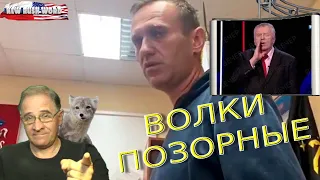 Волки позорные | Новости 7-40, 30.3.2021