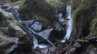 Olinda Falls, Mount Dandenongs, photography session