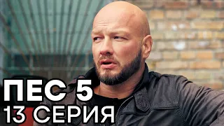 Сериал ПЕС - 5 сезон - 13 серия - ВСЕ СЕРИИ смотреть онлайн | СЕРИАЛЫ ICTV