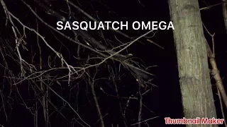 Sasquatch 90210