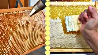 BEST HONEYCOMB UNCAPPING ON YOUTUBE-Oddly Satisfying