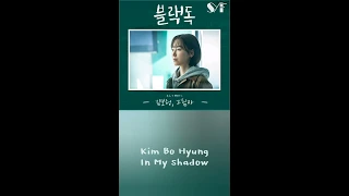 Kim Bo Hyung (김보형) – 그림자 (In My Shadow) [Black Dog : Being a Teacher OST Part 1] Lyrics Han/Rom/Eng