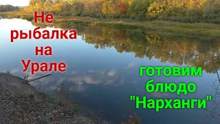 Отдых на реке Урал.Готовим узбекское блюдо "Нарханги"/Rest on the river.Cook Uzbek dish "of Narangi"