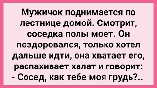 Соседка Показала Мужику! Сборник Свежих Смешных Жизненных Анекдотов!