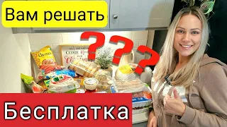 Переезжаем к Сельчанке в Америке/Бесплатные продукты в США/Что нам дали в Южной Каролине/Бесплатка